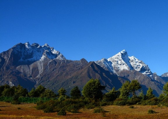 威海粉象生活app