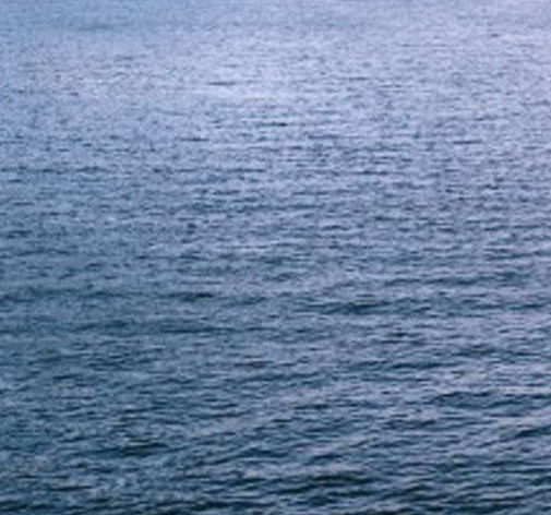 粉象生活合法吗