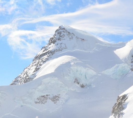 粉象生活下载app