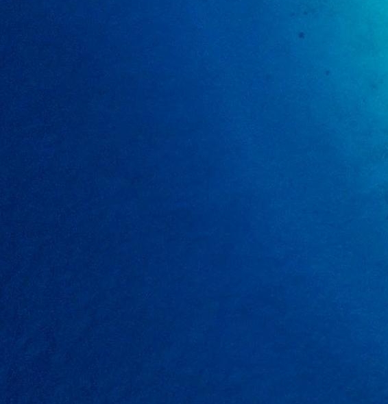 粉象生活可以赚钱吗