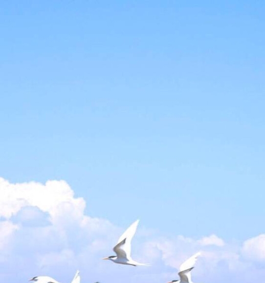 粉象生活邀请码