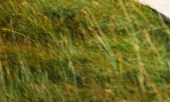 粉象生活电话多少