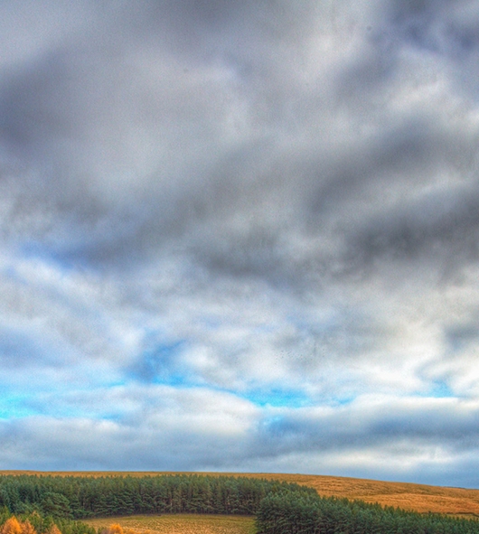 粉象生活app正规吗