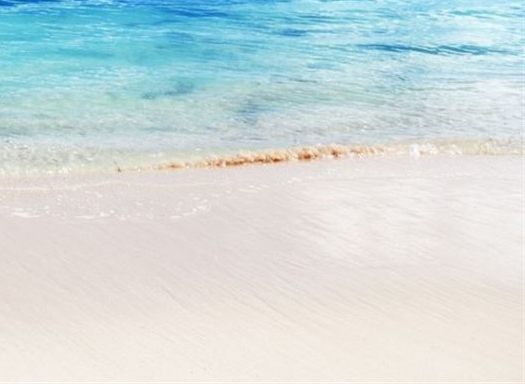 粉象生活返佣是真的吗