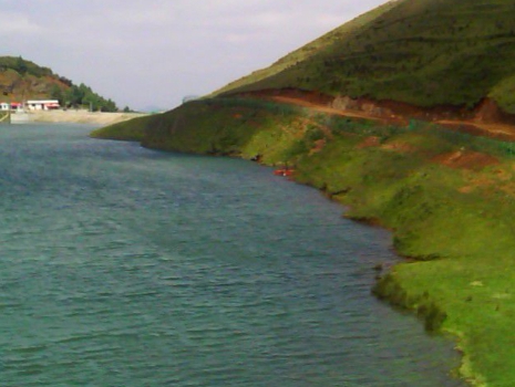 吉林口碑粉象生活邀请人