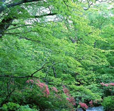 粉象生活app是干嘛的