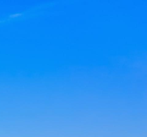 粉象生活邀请码