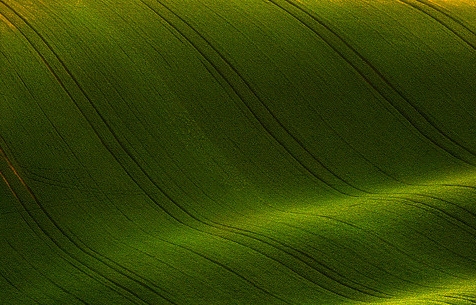 杭州粉象家怎么样