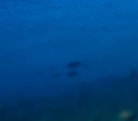 成都本地生活服务商有哪些