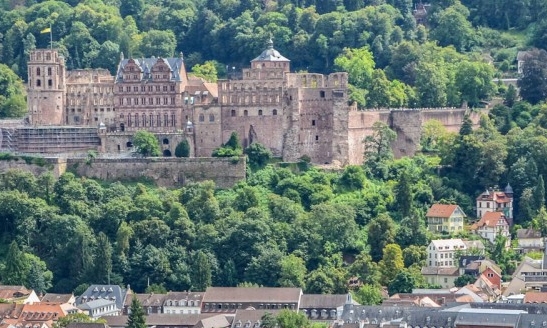 粉象生活开大奖