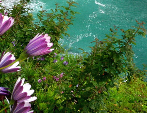 粉象生活最新规划