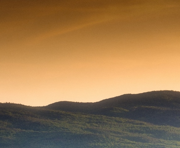 掌上生活好友砍价