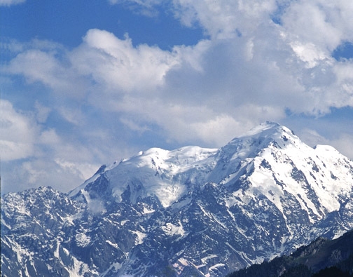 粉象生活邀请码