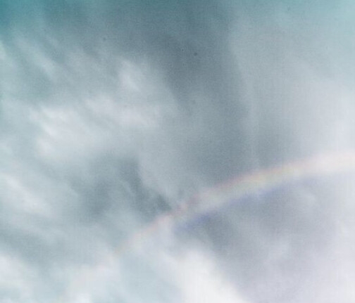 粉象生活骗局讲解