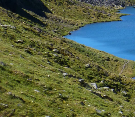 粉象生活可以赚钱吗