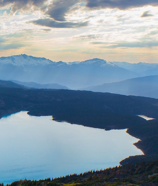 花粉俱乐部官网下载