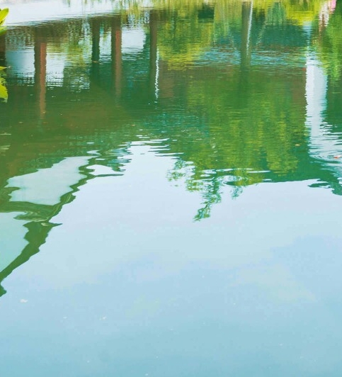 粉象生活是个什么东西