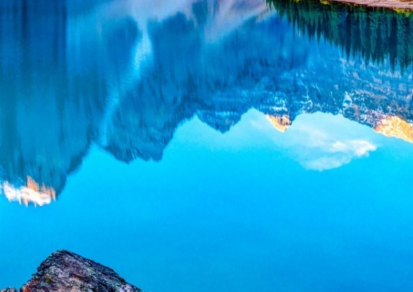 怎么做粉象生活的代理