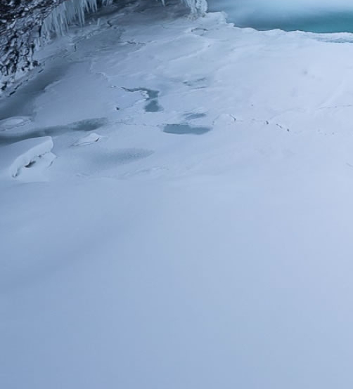 粉象生活如何使用