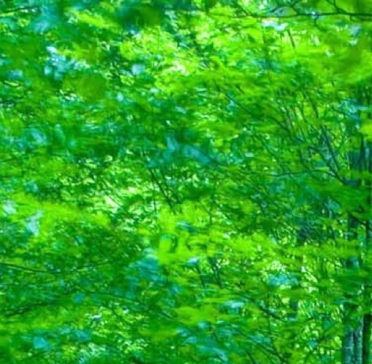 粉象生活可以赚钱吗