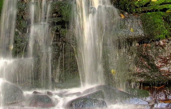 你们做粉象生活的收入