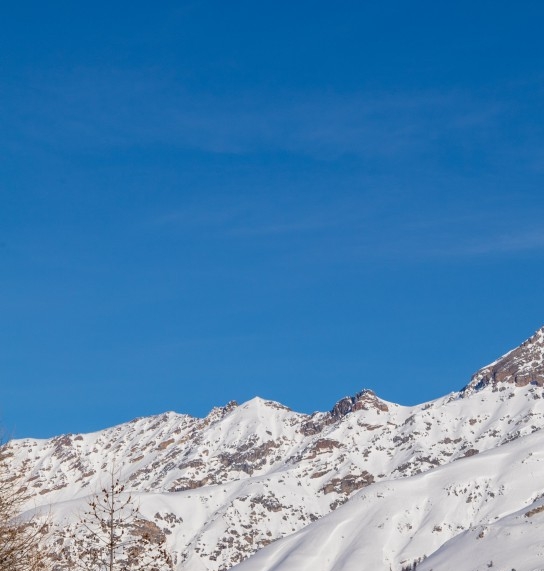 粉象生活怎么赚钱的