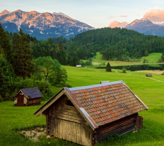 粉象生活新手教程视频