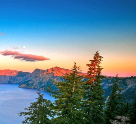 粉象生活阿善导师