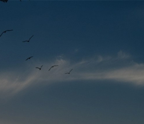 粉象生活可以赚钱吗