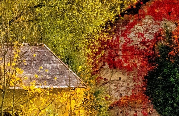 粉象生活日推广50人