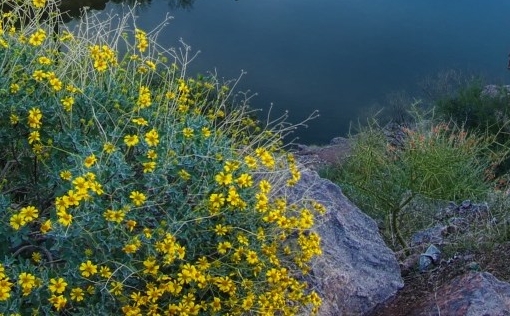 粉象生活自动接单