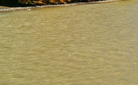 粉象生活新手怎么做