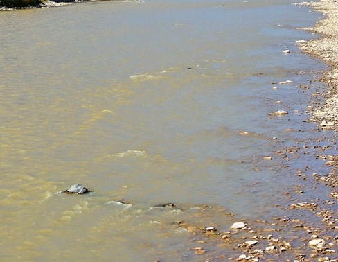 粉象生活下载app