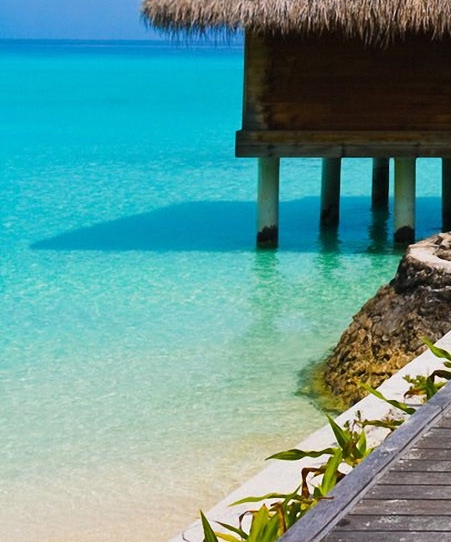 如何在粉象生活上删除粉丝