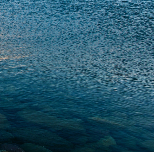 直播明星在监狱的生活小说