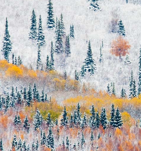 粉象生活可以赚钱吗