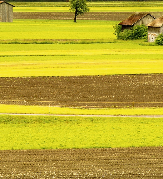 粉象生活拆红包是真的吗