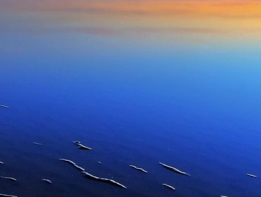 粉象生活开通店铺