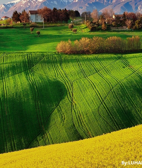 粉象生活不交钱能用吗