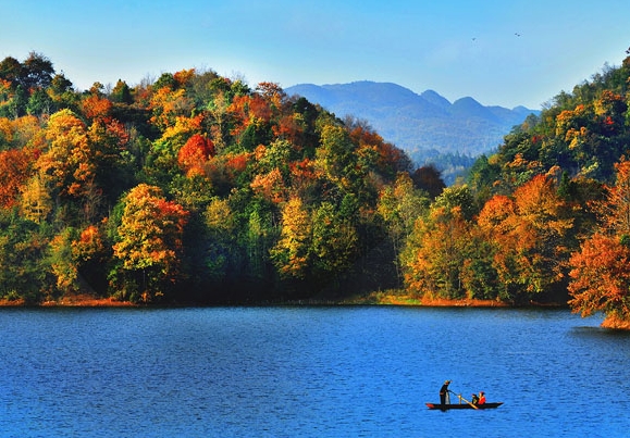 粉象生活id是什么
