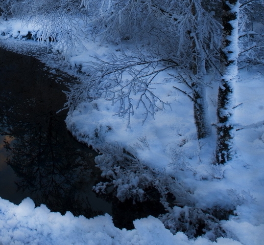 粉象生活可以赚钱吗