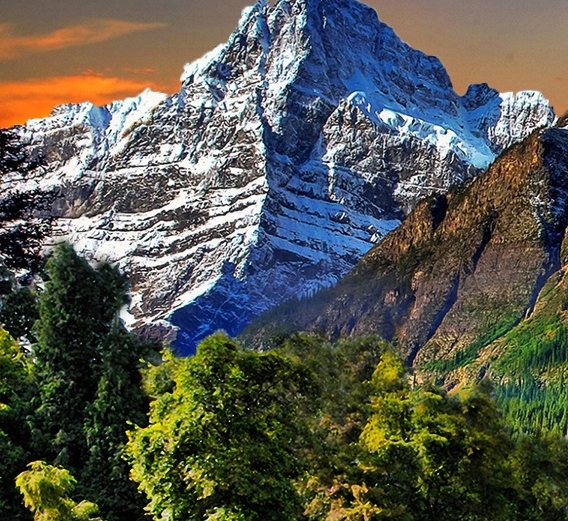 粉象生活邀请码