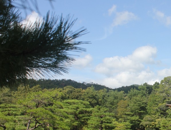 粉象生活分现金页面截图