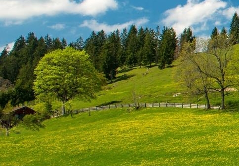 粉象生活的红酒