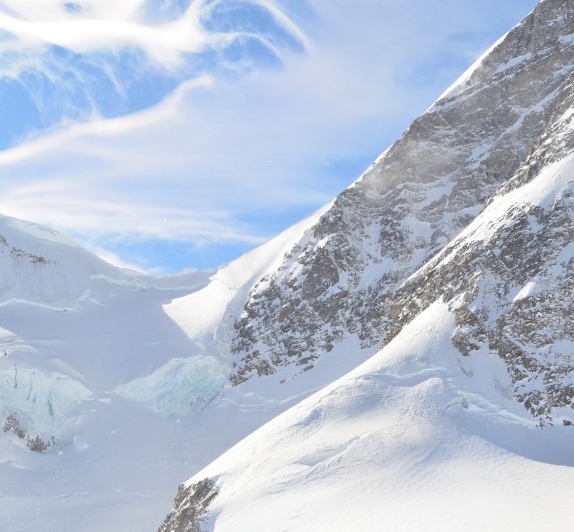 粉象生活邀请码