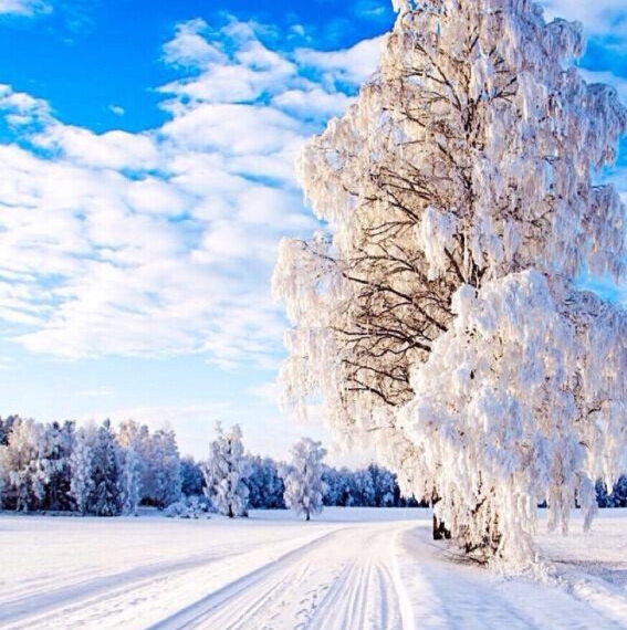 粉象生活邀请码