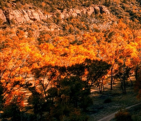 安阳生活质量怎么样