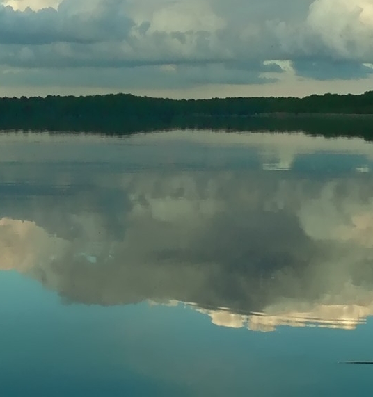 粉象生活返佣是真的吗