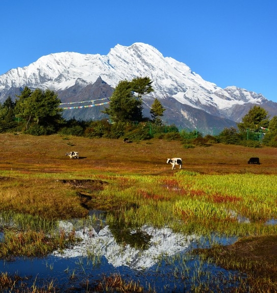 上海高端粉象生活