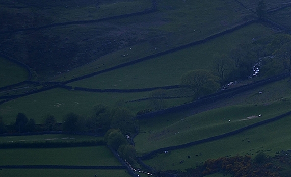 粉象生活累计预估收益是什么